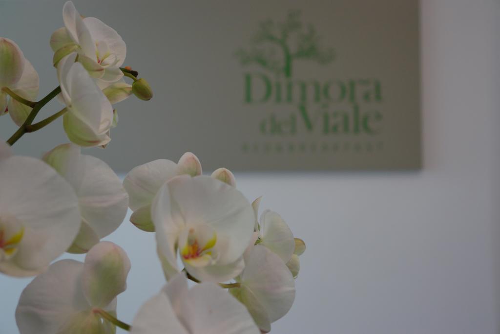 Dimora Del Viale Bed and Breakfast Agrigento Buitenkant foto